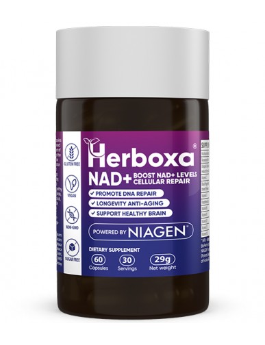 Herboxa Garlic Heart Supplements Benefits.